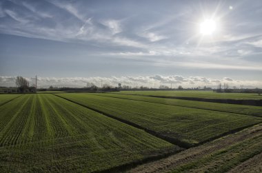 Akdağ ekili alanlar