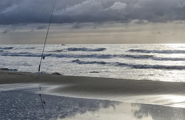 Eenzame hengel in het strand — Stockfoto
