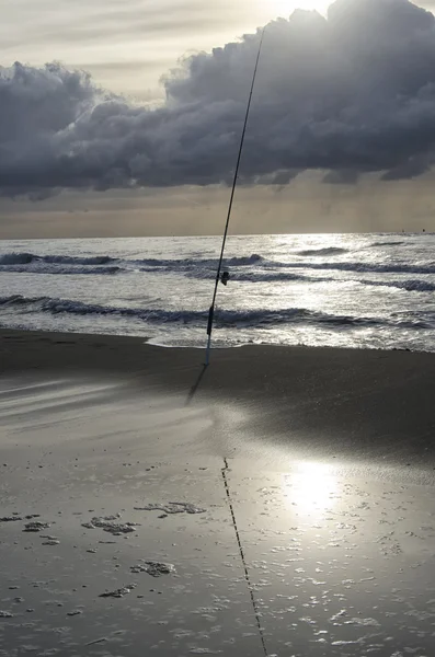 Eenzame hengel in het strand — Stockfoto