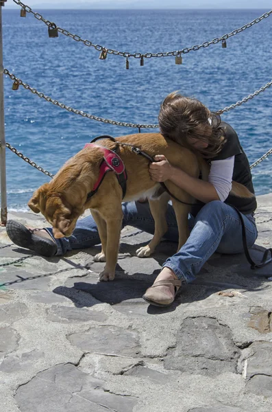 Kadın ve köpek sahilde
