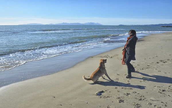 Mujer y mascota jugando en la playa — Foto de Stock