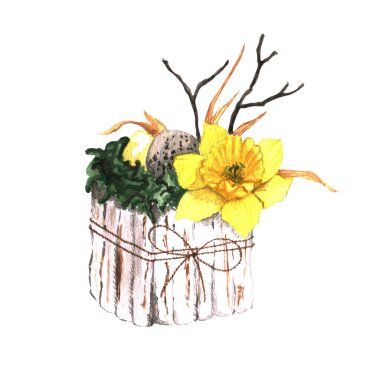 Beyaz üzerine izole edilmiş suluboya çiçek bileşimi