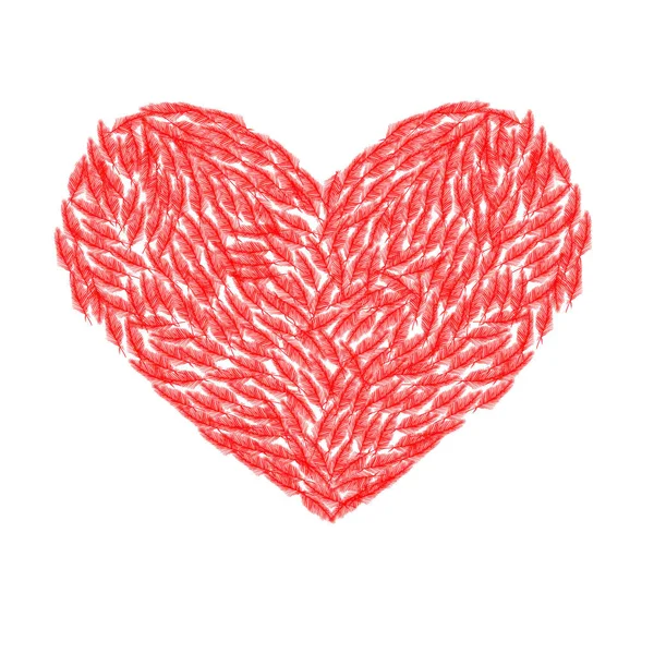 Coeur de plumes vecteur isolé rouge sur fond blanc — Image vectorielle