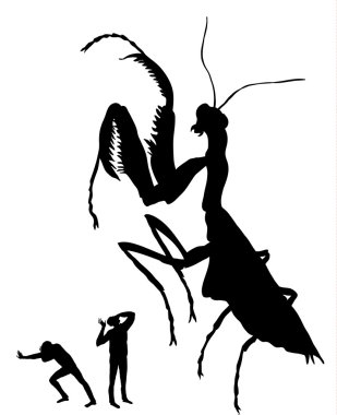 Adam ve mantis