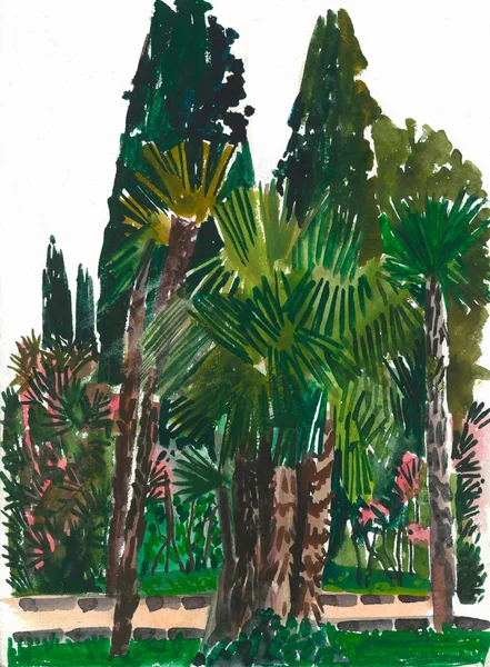 Park z drzewami palmowymi i cyprysów — Zdjęcie stockowe