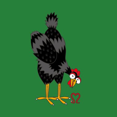 tavuk solucan ve aşk