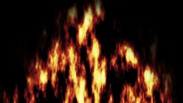 火在黑色背景上的动画 — 图库视频影像