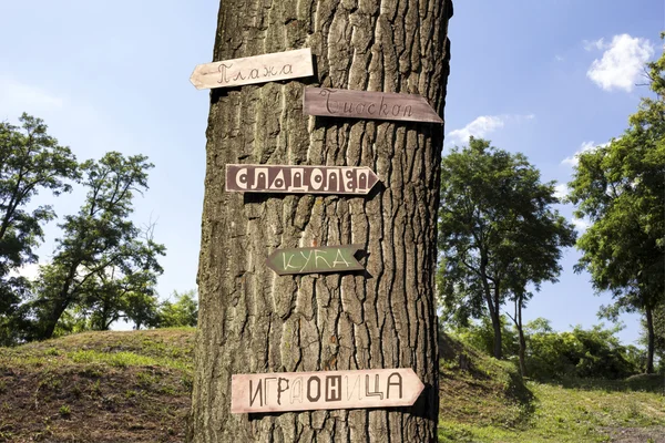 Bu işaretleri ile ormanda ağaç — Stok fotoğraf