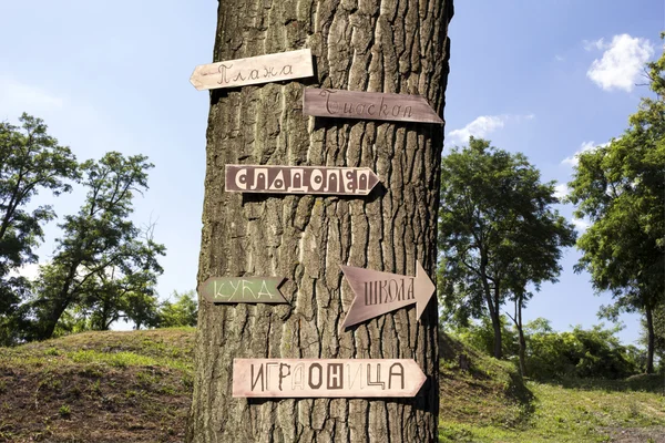 Bu işaretleri ile ormanda ağaç — Stok fotoğraf