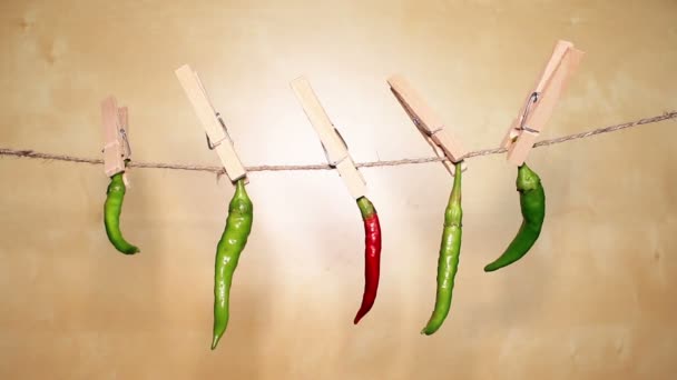 Pimentos frios pendurados em uma corda — Vídeo de Stock