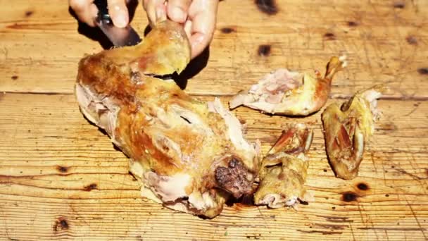 Gebratenes Entenfleisch gehackt — Stockvideo