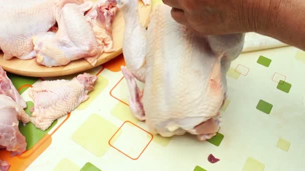 Preparazione pollo crudo — Video Stock