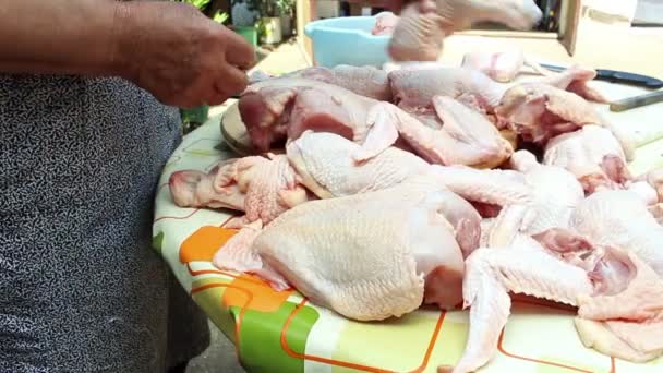 Preparación de pollo crudo — Vídeo de stock