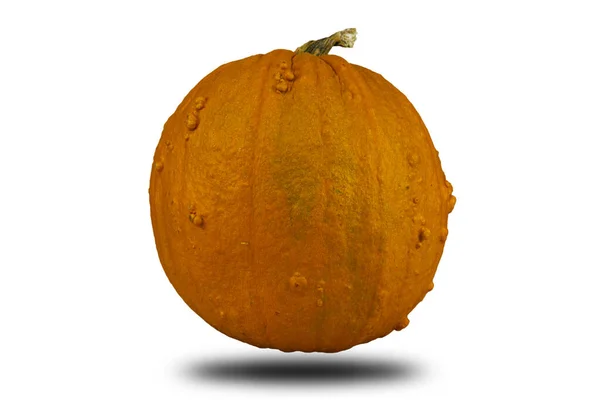 Calabaza Aislada Sobre Fondo Blanco Para Espacio Copia Concepto Halloween — Foto de Stock