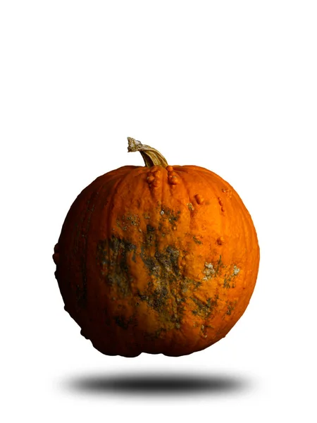 Dýně Izolované Bílém Pozadí Pro Kopírování Prostoru Halloween Nebo Díkůvzdání — Stock fotografie