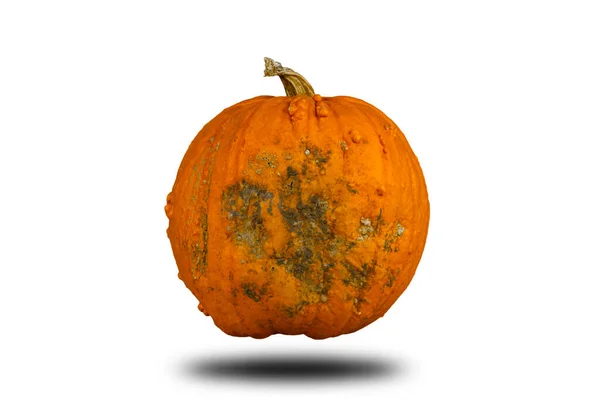 Calabaza Aislada Sobre Fondo Blanco Para Espacio Copia Concepto Halloween — Foto de Stock