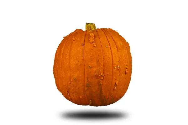 Pompoen Geïsoleerd Witte Achtergrond Voor Kopieerruimte Halloween Thanksgiving Concept — Stockfoto
