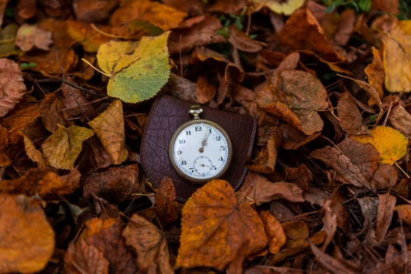 Vintage Pocket watch against the background of autumn dried brown leaves