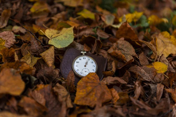 Vintage Orologio Tasca Sullo Sfondo Autunno Asciugato Foglie Marroni — Foto Stock