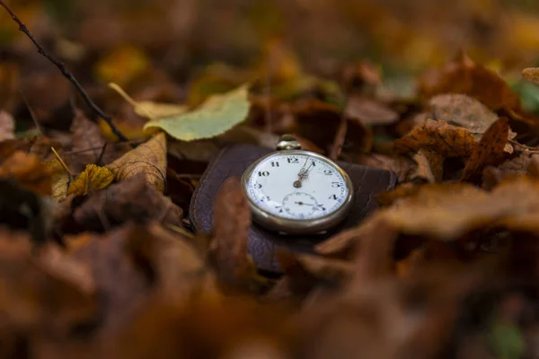 Vintage Pocket watch against the background of autumn dried brown leaves