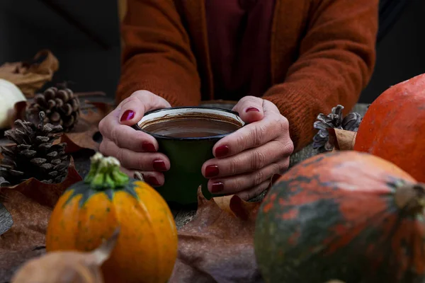 Gorąca Czekolada Rustykalnym Kubku Przechowywane Rękach Kobiet Jesiennym Tle Dyni — Zdjęcie stockowe