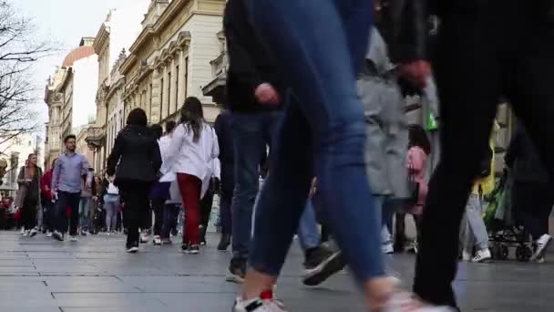 Belgrade Serbia April 2021 People Walking Pedestrian Shopping Street Knez — Stock Video