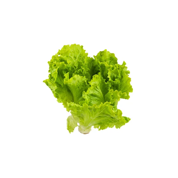 Frischer Salat Isoliert Auf Weißem Hintergrund — Stockfoto
