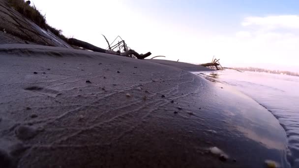 Orilla del río — Vídeos de Stock