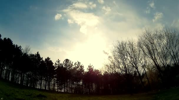 Nuvens movendo-se sobre as árvores — Vídeo de Stock