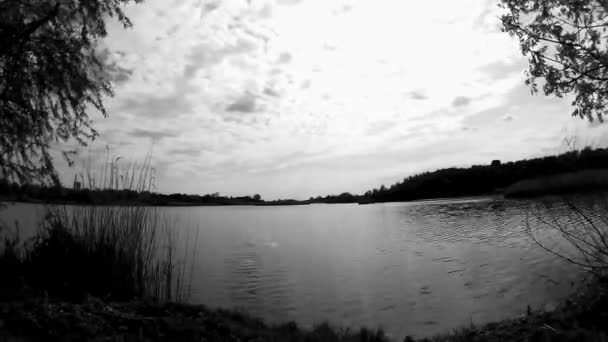 Lago en la oscuridad — Vídeo de stock