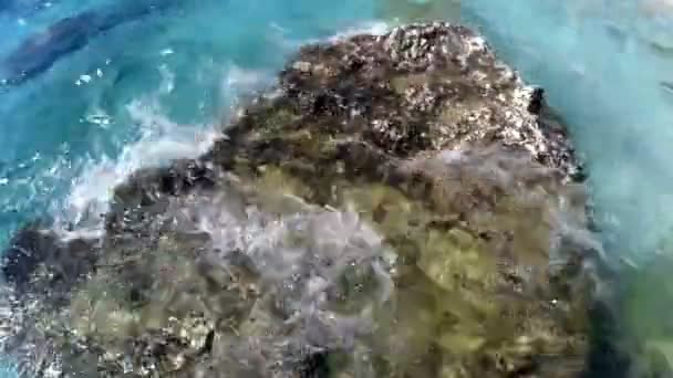 Pedra na água — Vídeo de Stock