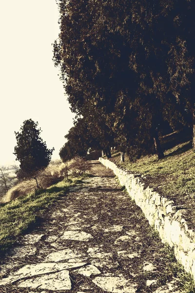 Caminho de pedra no parque — Fotografia de Stock
