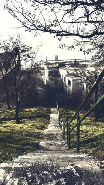 Stairway in park — Stock Photo, Image