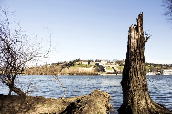 Fortaleza de Belgrado Kalemegdan e rio Sava — Fotografia de Stock