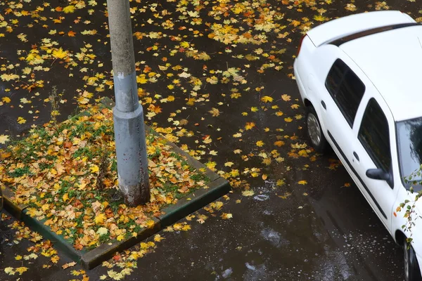 Wet Asphalt Puddle Fallen Leaves Old Rusty Pole Dreary Autumn — Stock Photo, Image