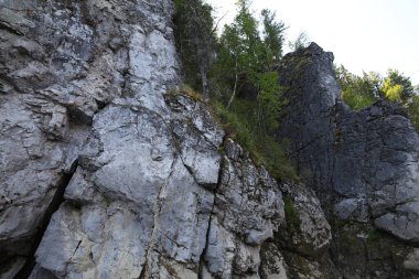 Eşsiz doğal manzara. Kanyon. Kaya oluşumu. Tepesinde seyrek ağaçlar olan bir uçurum.