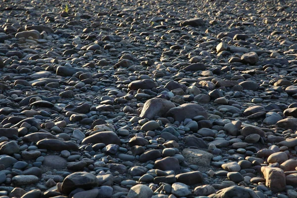 Камень Пляж Солнце Многие Серые Камни Плотно Лежат Земле Красивое — стоковое фото