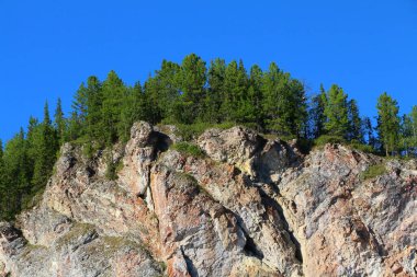 Güneşli bir günde, üzerinde yeşil orman olan çıplak kayaların güzel mavi gökyüzünün altındaki görüntüsünü kapat.