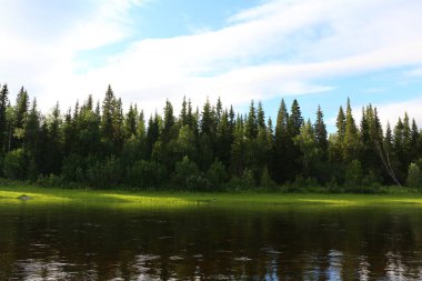 Ormanın üzerindeki mavi gökyüzünde beyaz çizgili sakin su ile güzel göl kıyısı ve güneş ışığıyla çelişen yerlerde yeşil çimen. Yaz doğa manzarası