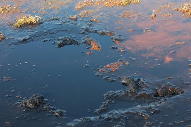 Yaban hayatında jeotermal kaynaklara sahip ekolojik altyapı