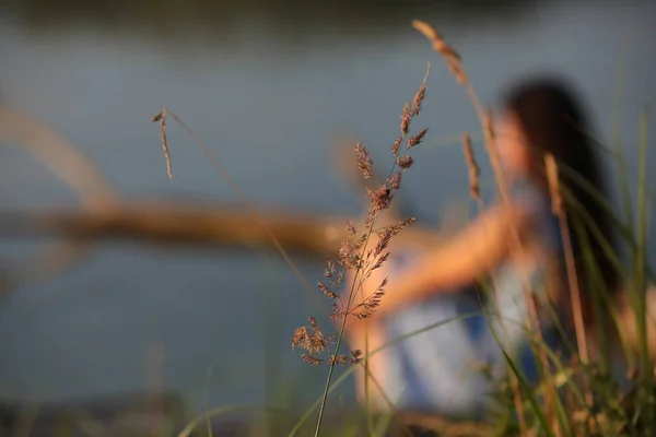 Portret Van Een Vrouw Met Lang Haar Natuur Zomer Oever — Stockfoto