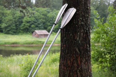 Gölde kürek çeken kürek çekenler ve orman konsepti olan spor ve rahatlama arka planının yanındaki küçük ev banyosu saunası.