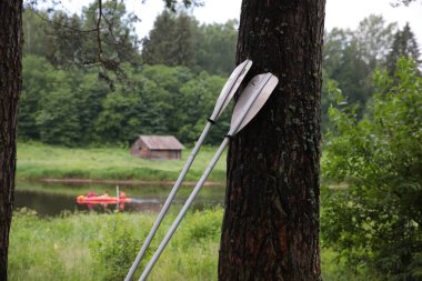 Kıyıda kayak yapmak için iki kürek.