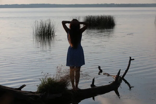 Portret Van Een Vrouw Met Lang Haar Natuur Zomer Het — Stockfoto