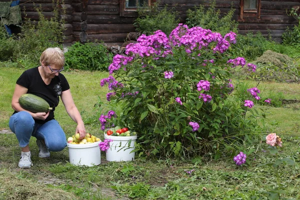 malickovanina@yandex.ru