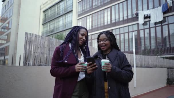 Twee Zakenvrouwen Drinken Koffie Terwijl Praten Iets Wat Bekijken Hun — Stockvideo