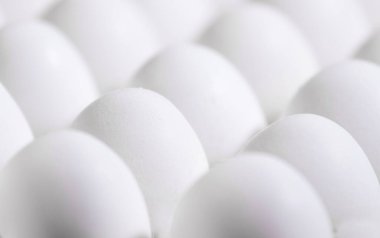 Karton bir kutuda bir sürü beyaz taze yumurta, Doğal Eko Ürünleri.