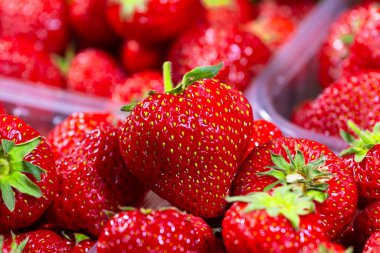Çilek arkaplanı, bir sürü taze kırmızı dut, çileklerin yarısını kapat, Top view, yüksek çözünürlüklü ürün. Sağlıklı organik taze ürün