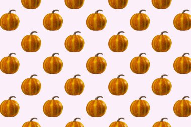 Pembe arka planda Pumpkins Pembesiz Deseni, Üst Manzara, Sonbahar Tatili Konsepti.