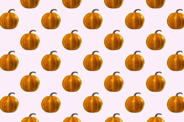 Kürbisse Nahtloses Muster Auf Rosa Hintergrund Draufsicht Herbstferienkonzept — Stockfoto